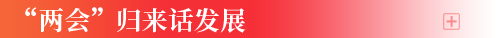 "两会"归来话发展