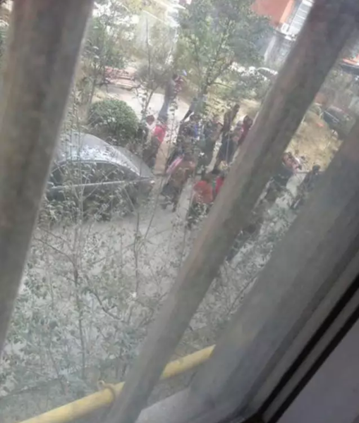 201603050045105d2ad_550 201603050045105d2ad_550