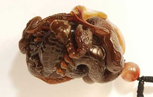 无毒(正面) 无毒(正面)