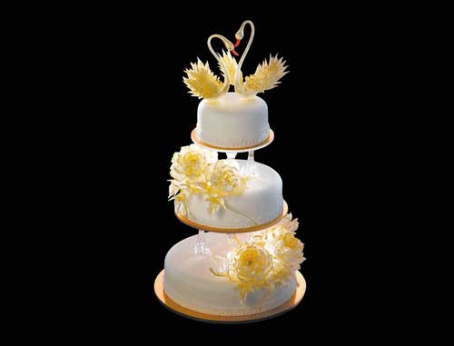 婚典 永恒 婚典 永恒