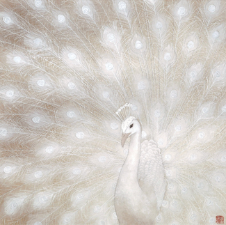 白孔雀-蒋采苹 074 白孔雀-蒋采苹 074