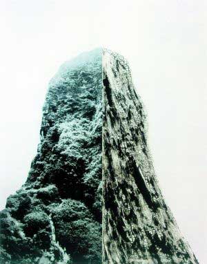 尚扬《碑》　　这件作品体量颇大，达到了360cmX290cm，即使在普遍以大画为主的一楼展厅里也颇为醒目。左半幅郁郁葱葱的山林与右半幅炭化皲裂的山体对比强烈，技法高超，超写实的综合材料制作方式让人印象深刻，画面可以从生态环保、二元哲学、时空观、生命隐喻等多重角度进行解读，每个观众都可以容易地从中寻找自己的理解，或许正是因为这样，许多观众选择在这张作品前留影纪念。