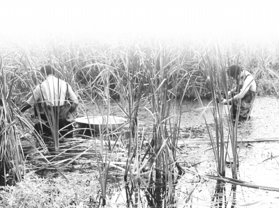 bc305baebedb14b7f92217 bc305baebedb14b7f92217