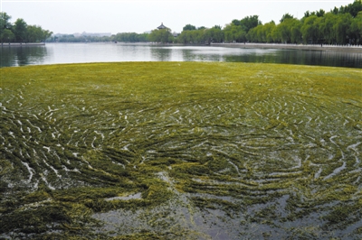 linpq44234_b linpq44234_b