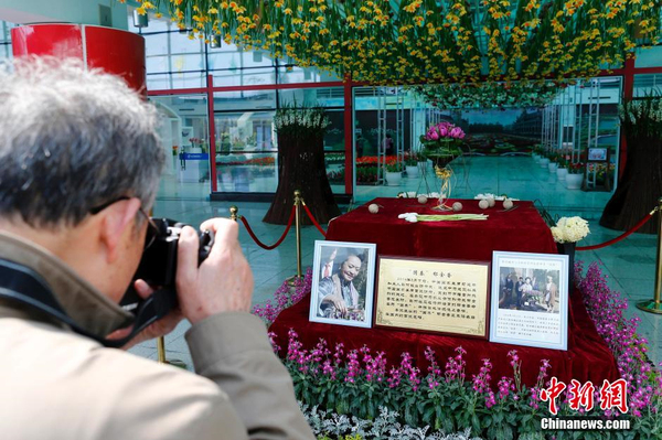 彭丽媛命名郁金香“国泰”亮相北京4