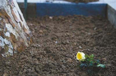 1830359384 1830359384