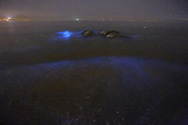 大连出现“荧光?！?