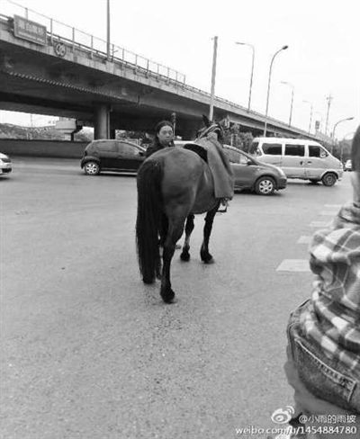 众人合力拦住马  众人合力拦住马