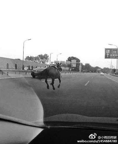 马儿冲上北五环  马儿冲上北五环