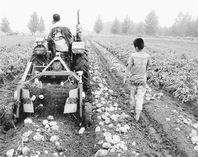 1400008295875_1 1400008295875_1