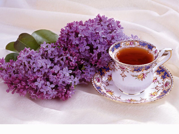 20120218123836859_966_o 20120218123836859_966_o