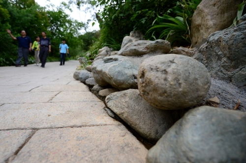 5月27日，在甘肃省陇南市康县白杨乡枫岭村，几名行人从用河道石头装饰的乡村道路上走过。