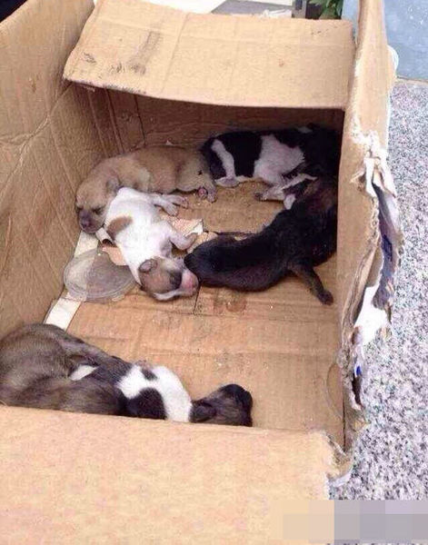 1110890330_14012389157651n 1110890330_14012389157651n