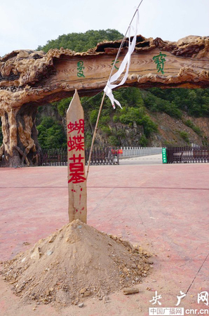 扎死蝴蝶装扮仙子事件再度发酵-广场被堆放蝴蝶墓3 扎死蝴蝶装扮仙子事件再度发酵-广场被堆放蝴蝶墓3