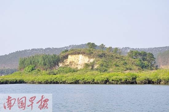 16736921436725393103 16736921436725393103