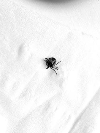 1110974633_14018418275431n 1110974633_14018418275431n