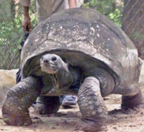 12319752432105358165 12319752432105358165