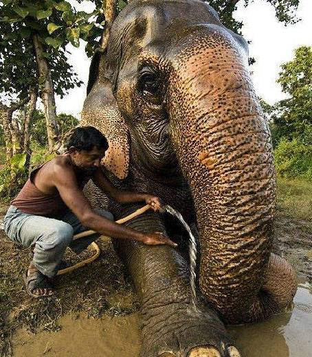 2807514580414479668 2807514580414479668