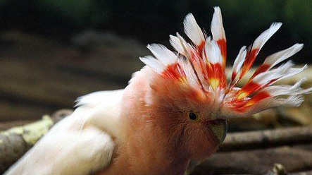 13425368640811013252 13425368640811013252