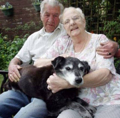 8768981617461338110 8768981617461338110