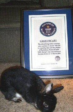 12513406232133291166 12513406232133291166