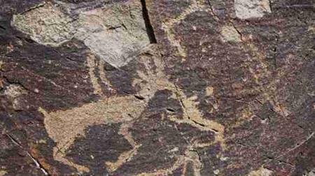 3933099426 3933099426