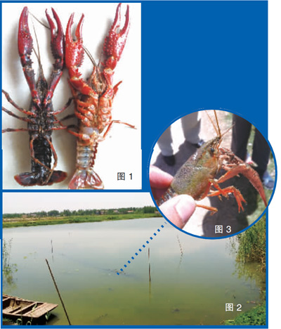 16143827808 16143827808