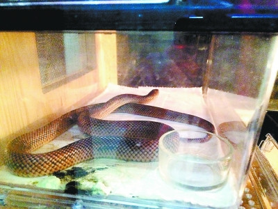 1111243716_14032511678241n 1111243716_14032511678241n