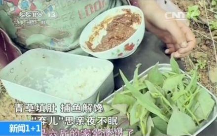 杨六斤青草填肚 杨六斤青草填肚