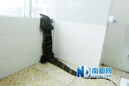 4487fc424a5b1514571503 4487fc424a5b1514571503