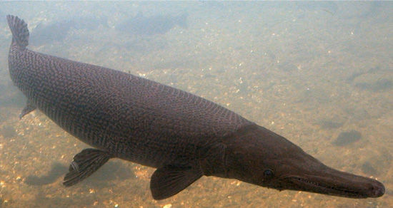 6750756_385541 6750756_385541