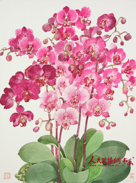 勒杜鹃与蝴蝶，40x69