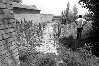 126727512_14048609613031n 126727512_14048609613031n