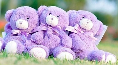 薰衣草小熊 薰衣草小熊