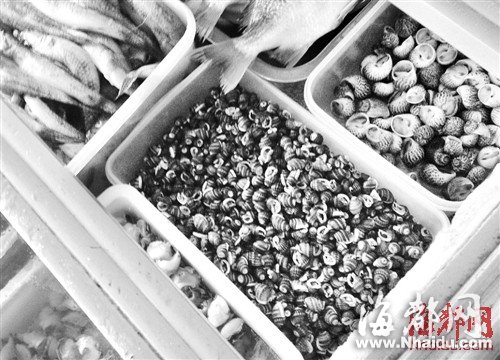 133488159_14054894377031n 133488159_14054894377031n