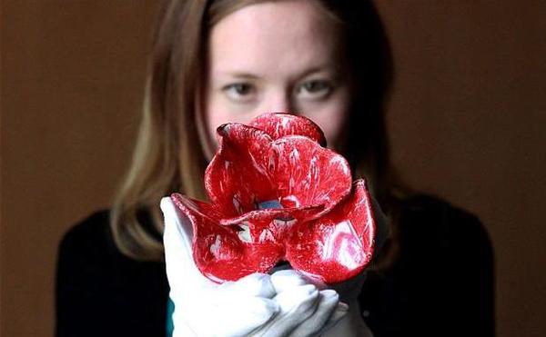 每一朵罂粟花都代表着一位第一次世界大战中的盟军受害者。