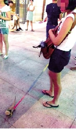 U418P4T8D6438527F107DT20140730012053 U418P4T8D6438527F107DT20140730012053