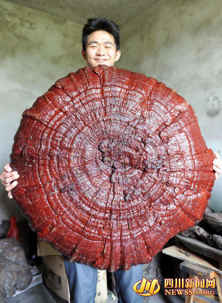 10114389_980x1200_0 10114389_980x1200_0