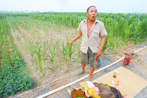 图为宝丰县闹店镇西牛村，老农夜宿地头等水来浇苗。 图片来源：大河网