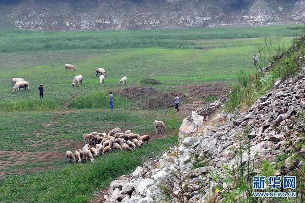 360截图20140801102421844 360截图20140801102421844