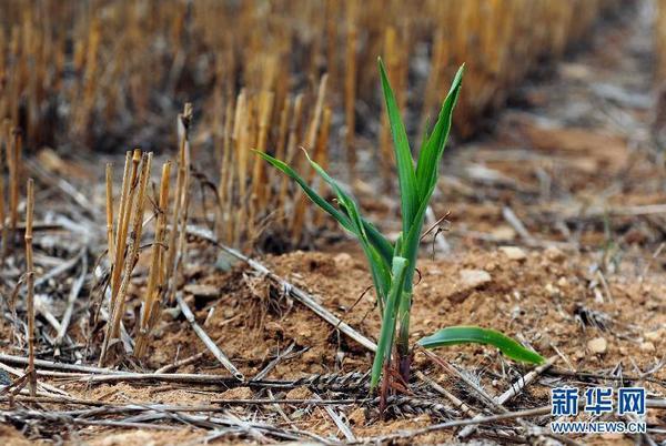 360截图20140801102928771 360截图20140801102928771