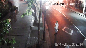 武松墓苏小小墓被泼红漆02 武松墓苏小小墓被泼红漆02