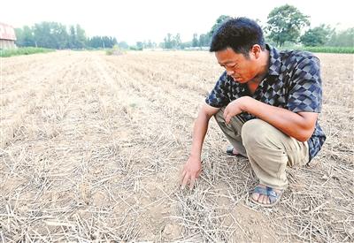 2822703388 2822703388