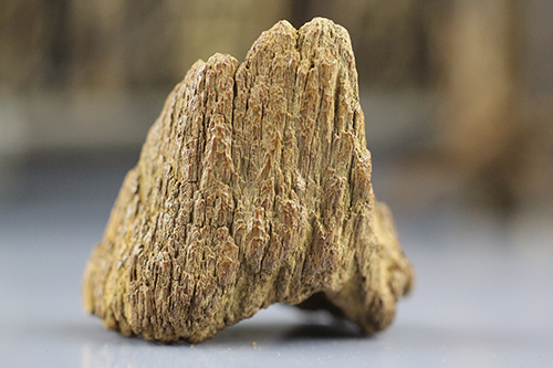 Img403177652 Img403177652