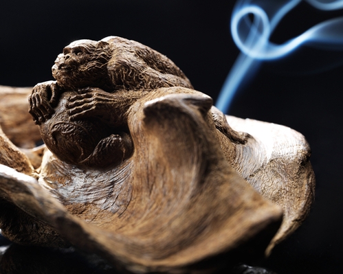 雍荷堂2 雍荷堂2