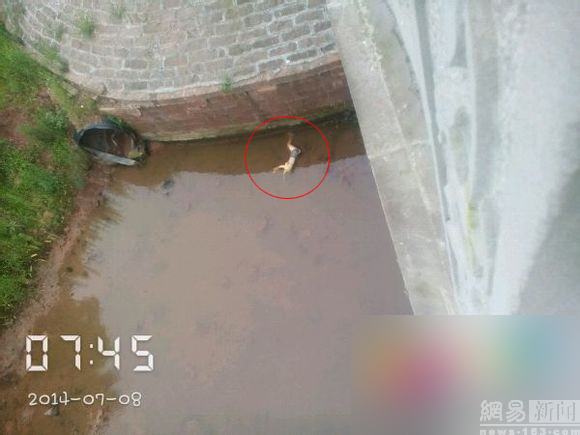 12557522051741914946_11n 12557522051741914946_11n