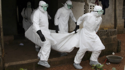 001676d85d69155018dd60 001676d85d69155018dd60