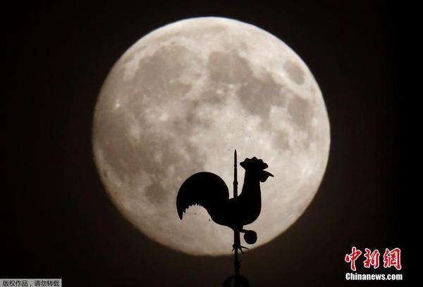 图为在德国上演的“超级月亮”。