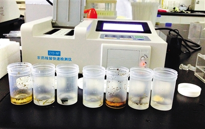 茶叶农残 茶叶农残