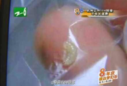 皮肤蝇3 皮肤蝇3